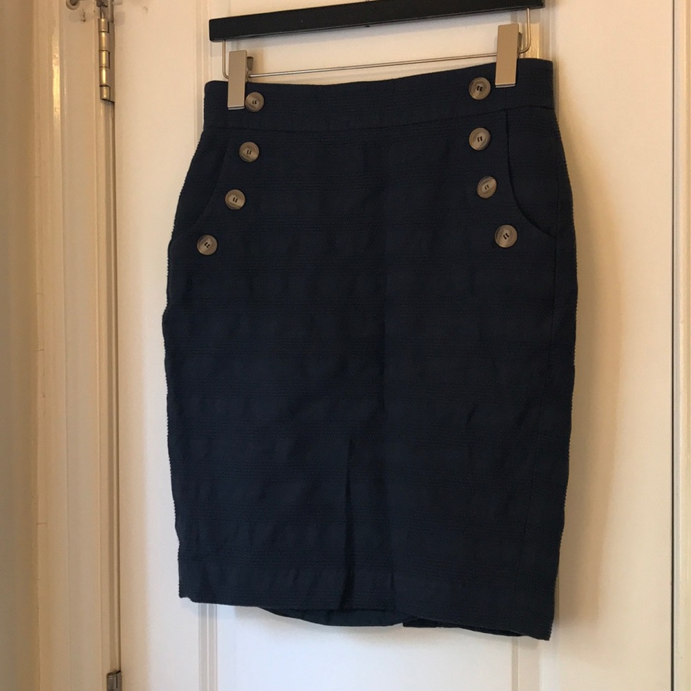 Blue Oxford Skirt